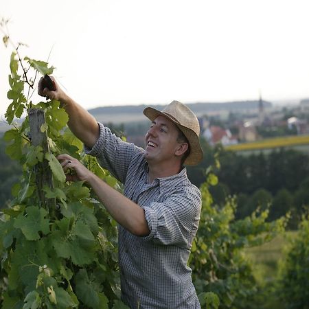 Worners Schloss Weingut & Wellness-Hotel Prichsenstadt Eksteriør billede