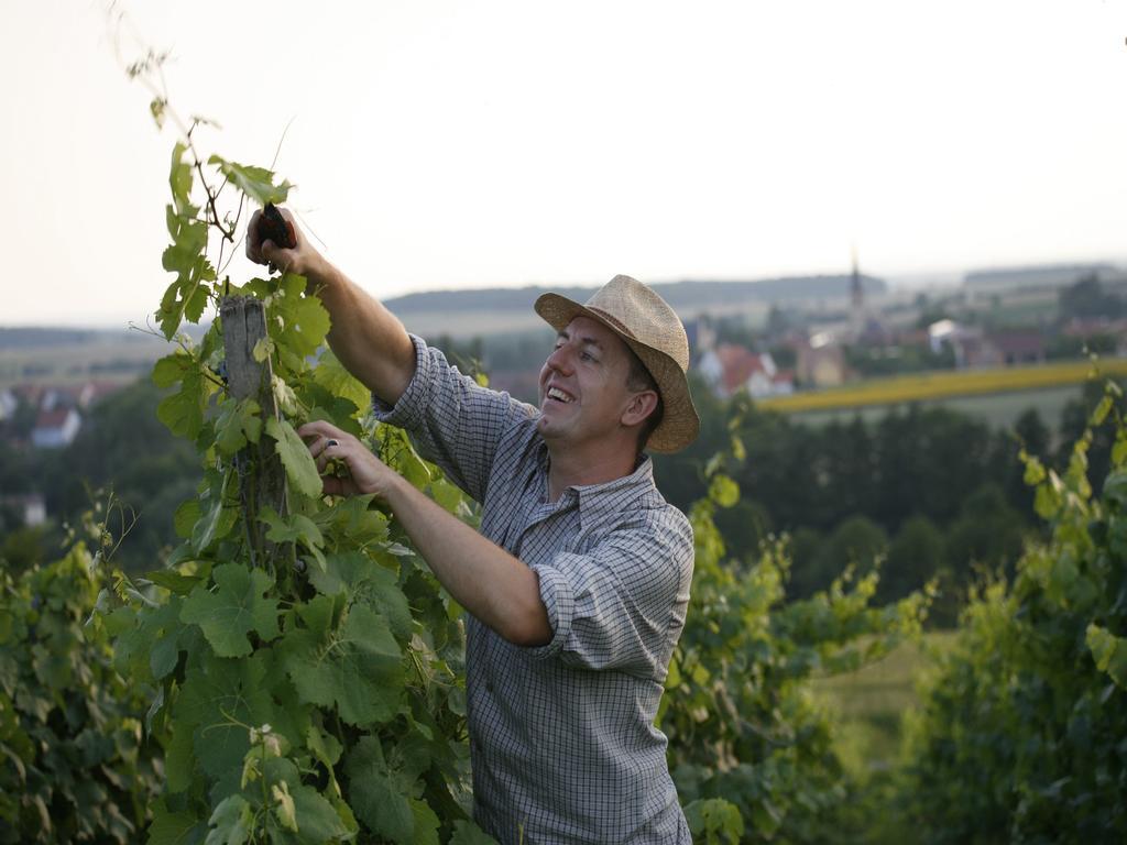 Worners Schloss Weingut & Wellness-Hotel Prichsenstadt Eksteriør billede
