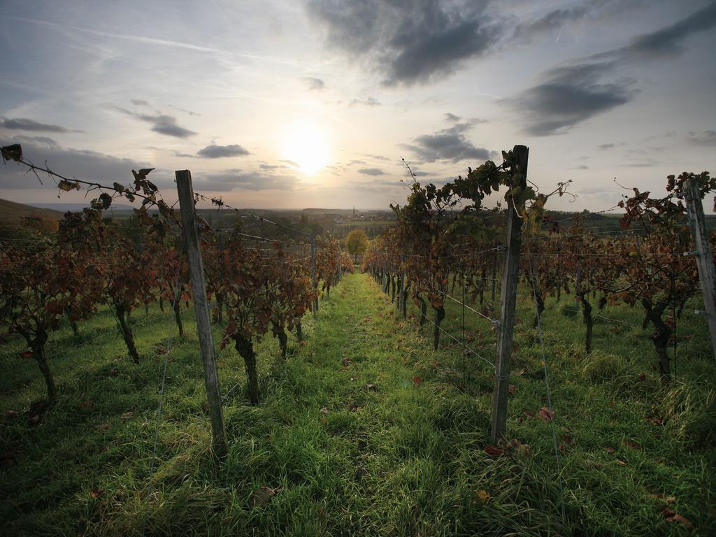 Worners Schloss Weingut & Wellness-Hotel Prichsenstadt Eksteriør billede