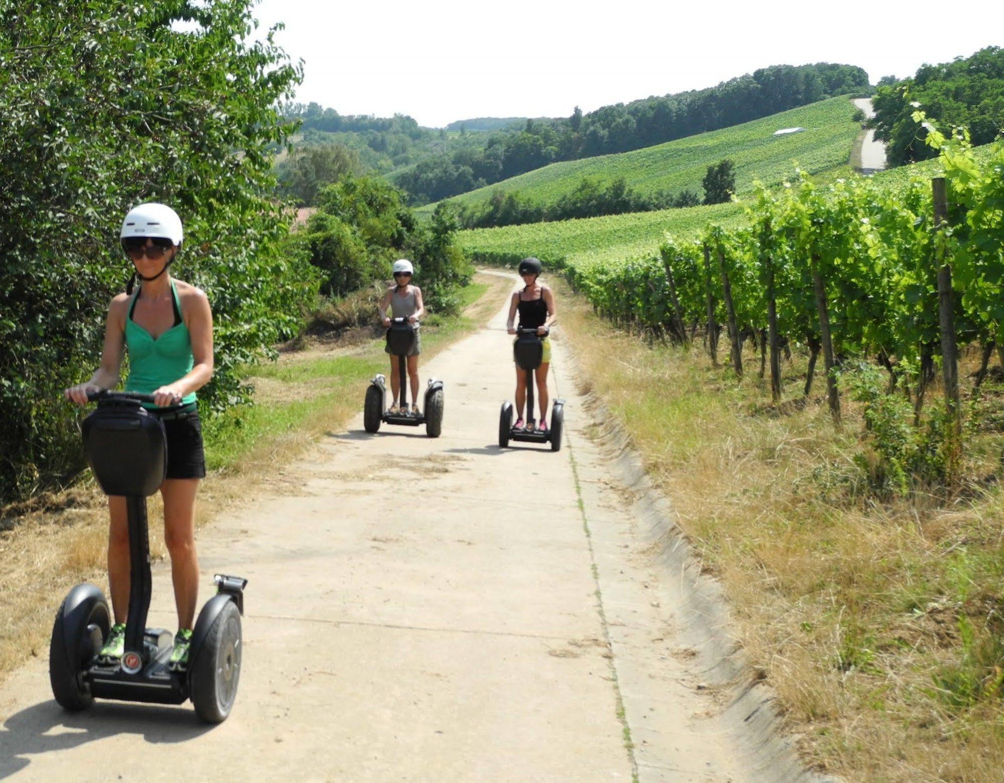 Worners Schloss Weingut & Wellness-Hotel Prichsenstadt Eksteriør billede